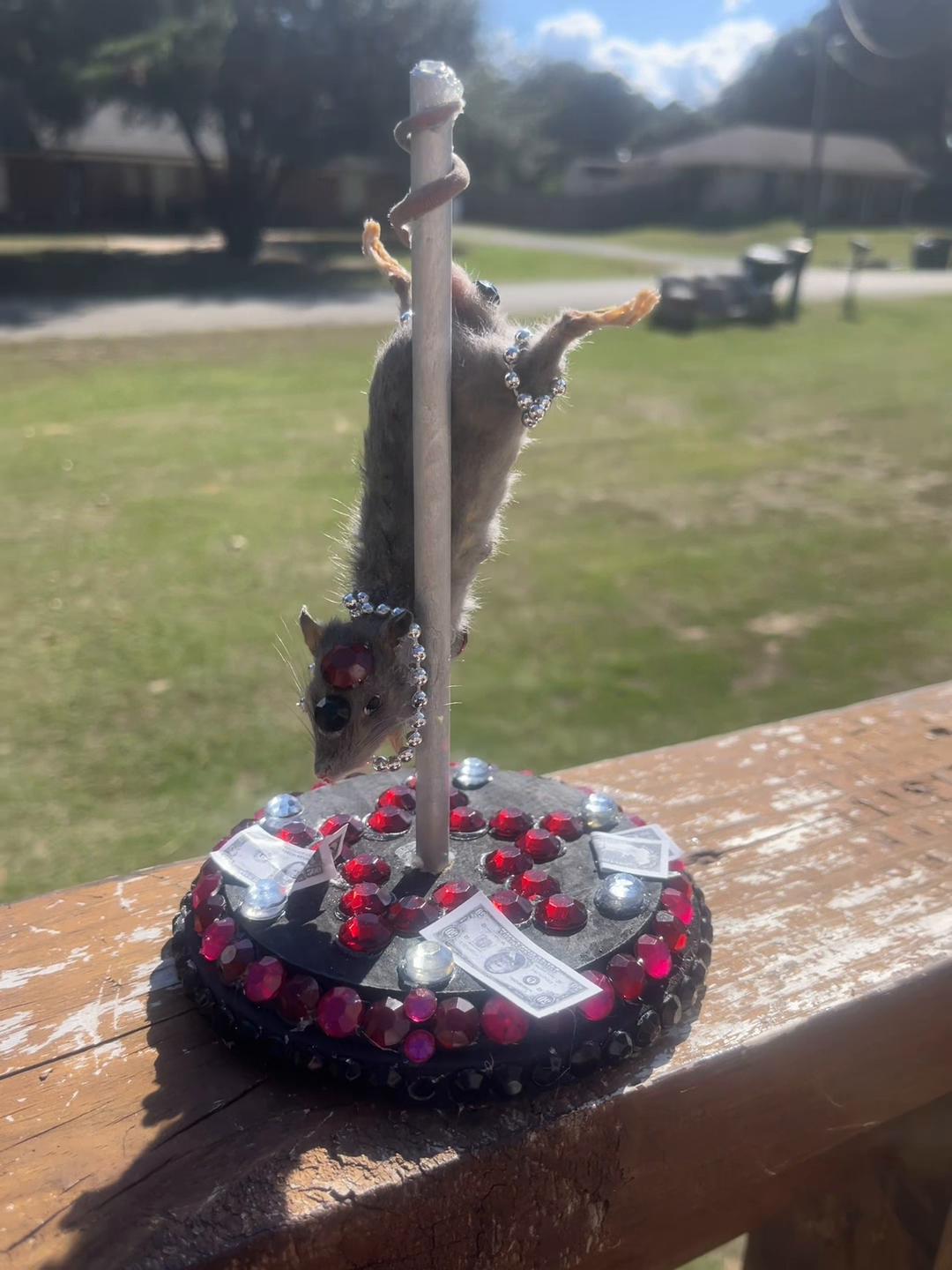@Half Moon Crystals & Oddities