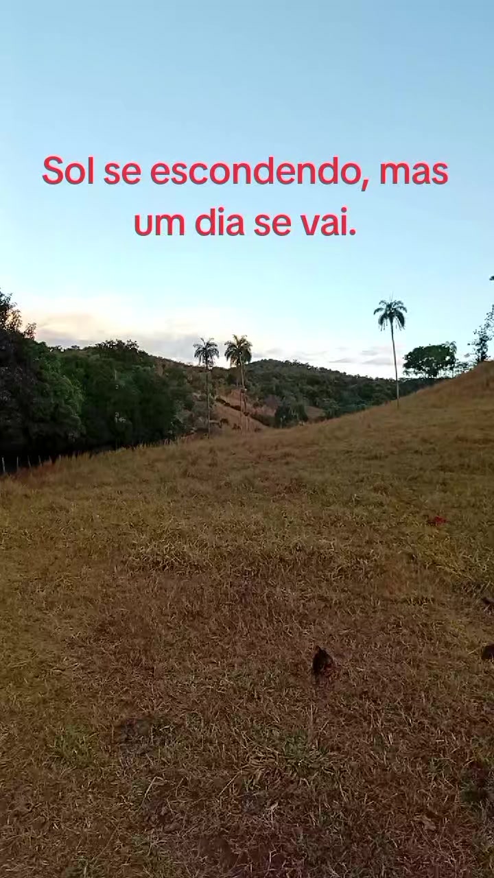 @🦜Edmilson da Serra🦜