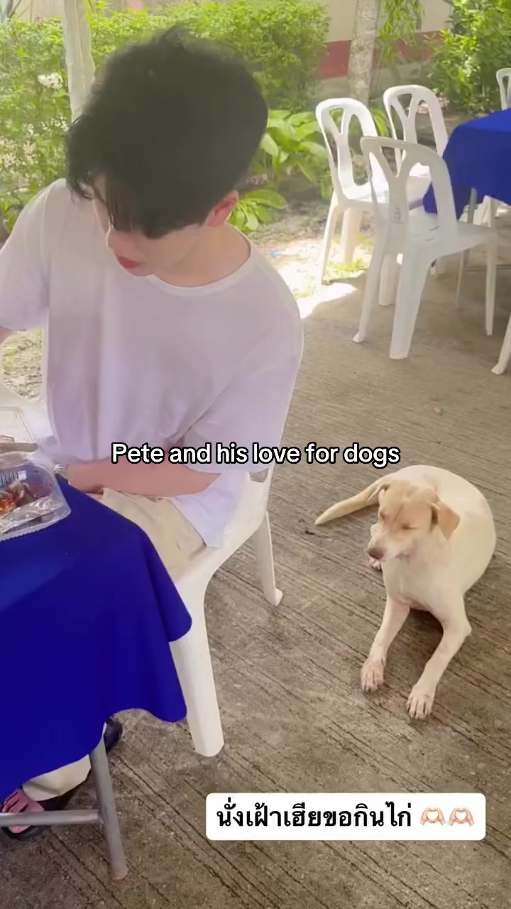 @๐๐ค