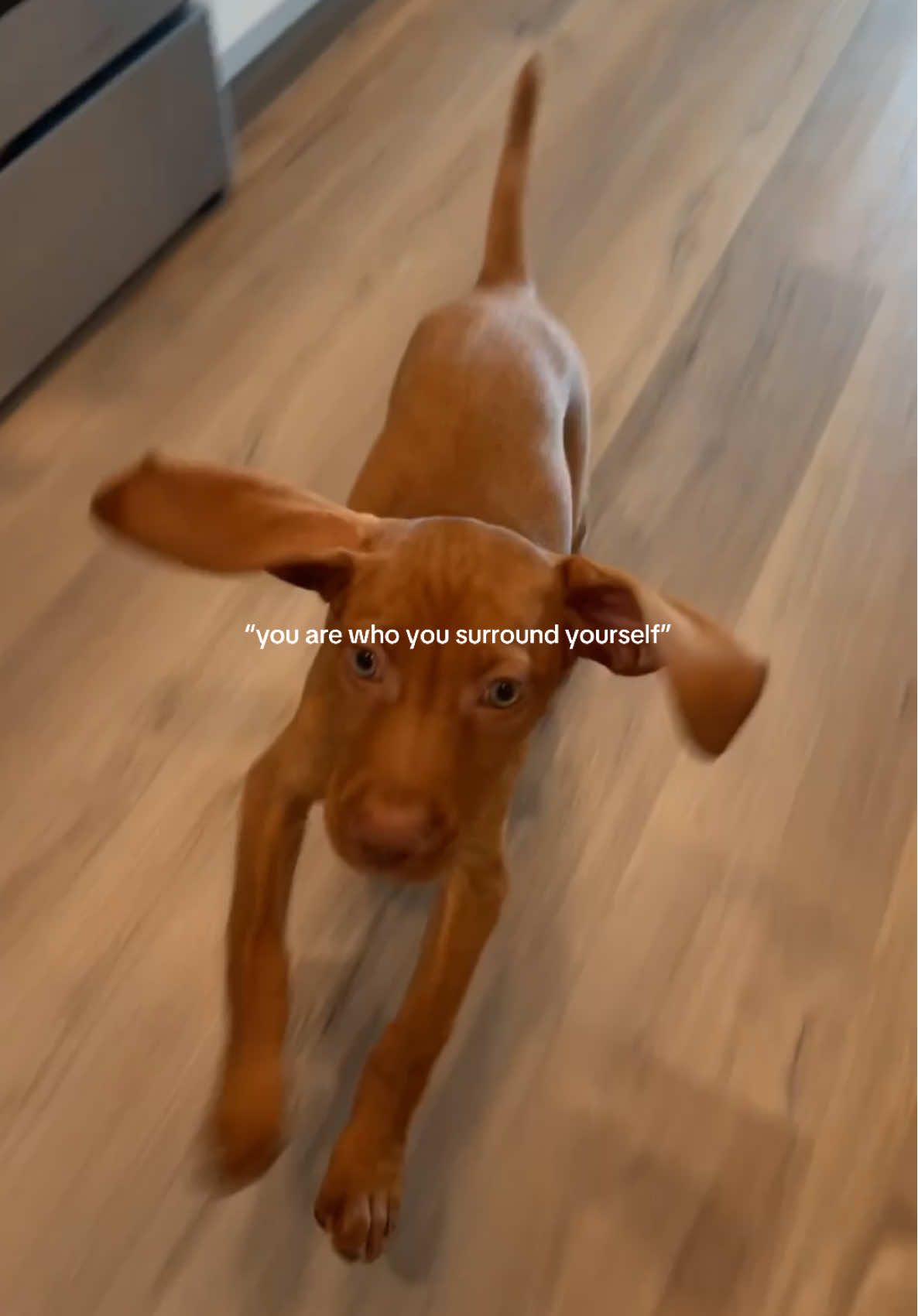 @B R I S T O N