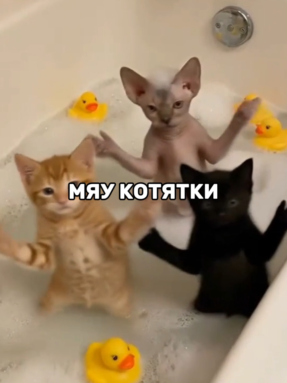 @афоня рекордс