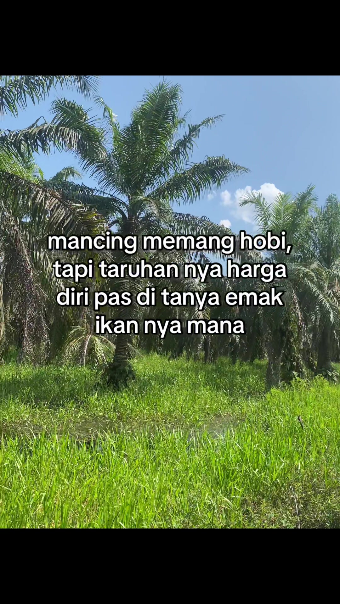 @BAIHAKI