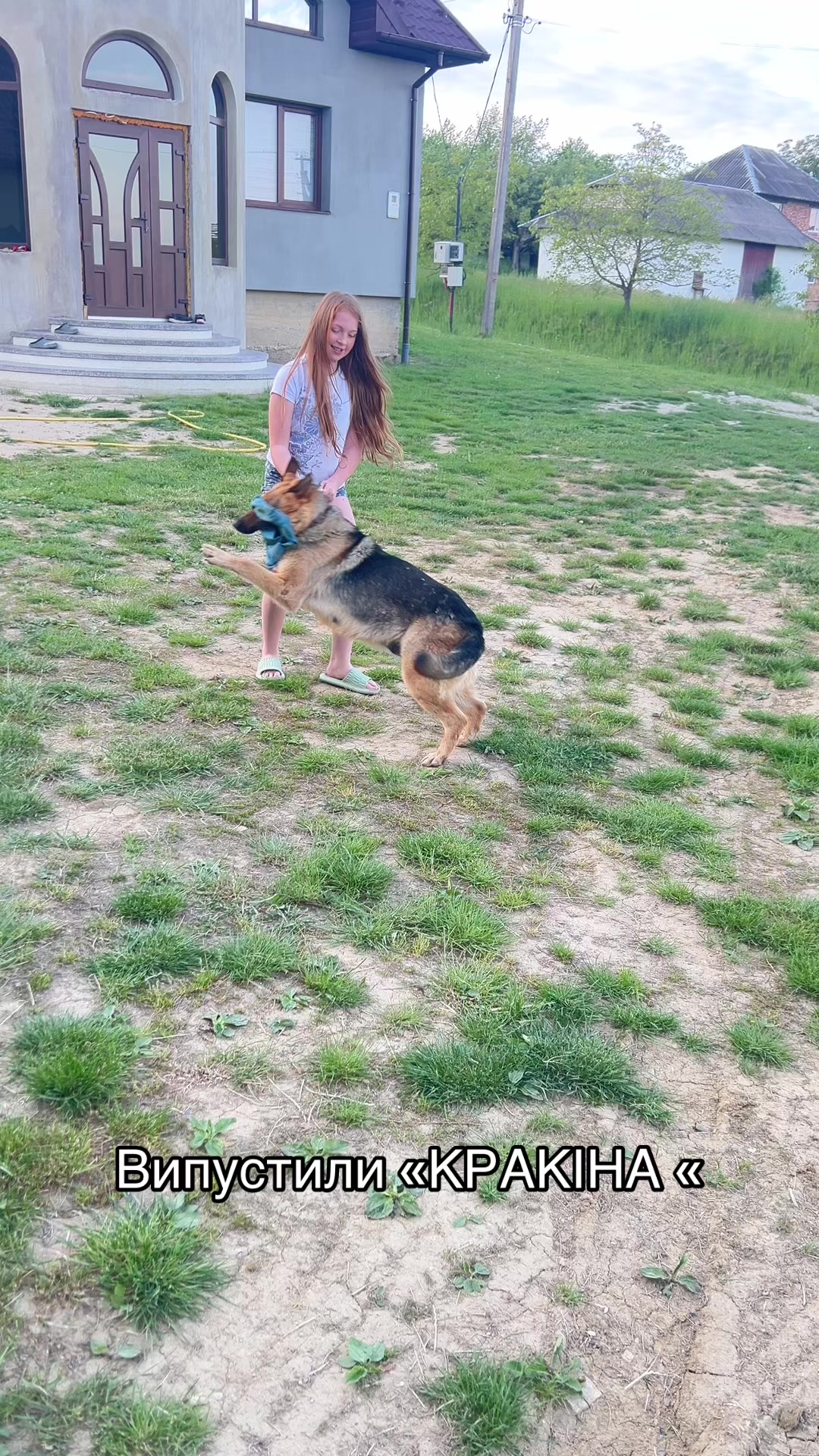 @бандерівка 💙💛