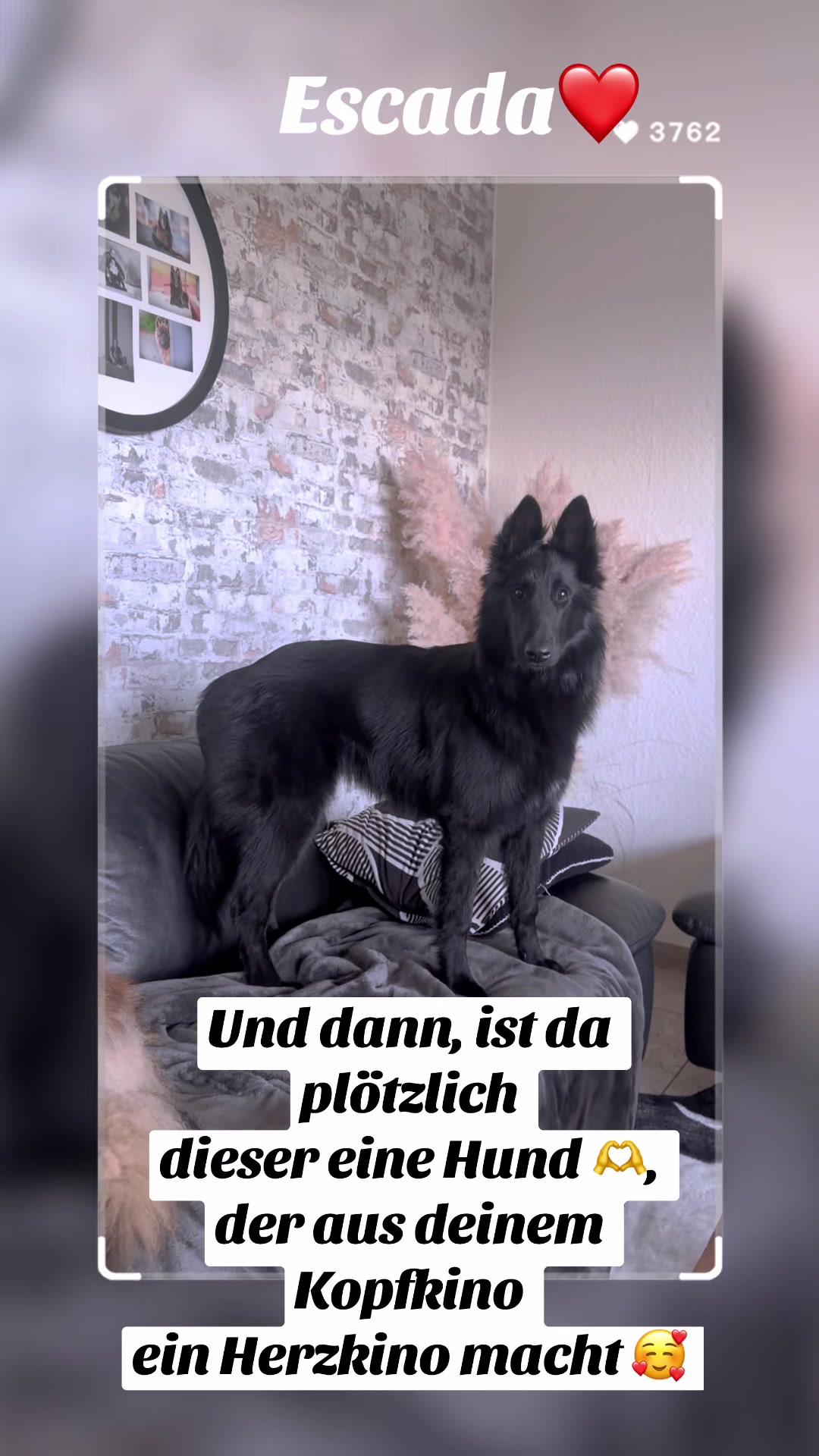 @Ulla & Dior & Escada