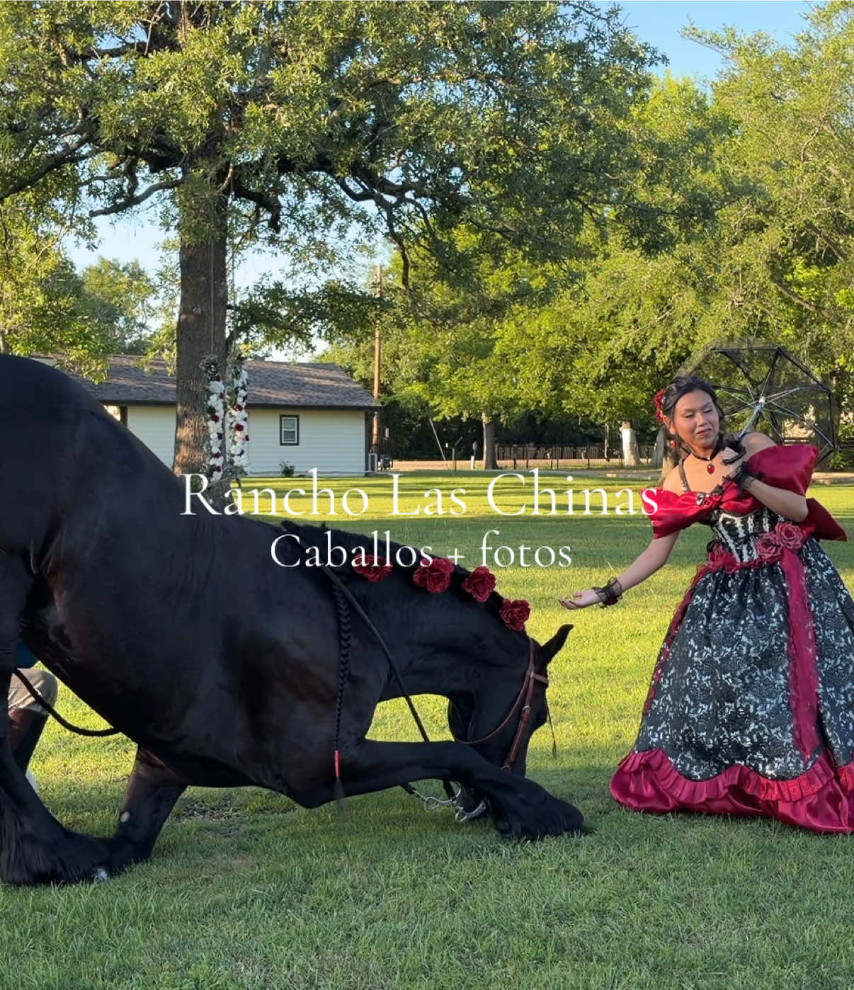 @Rancho Las Chinas