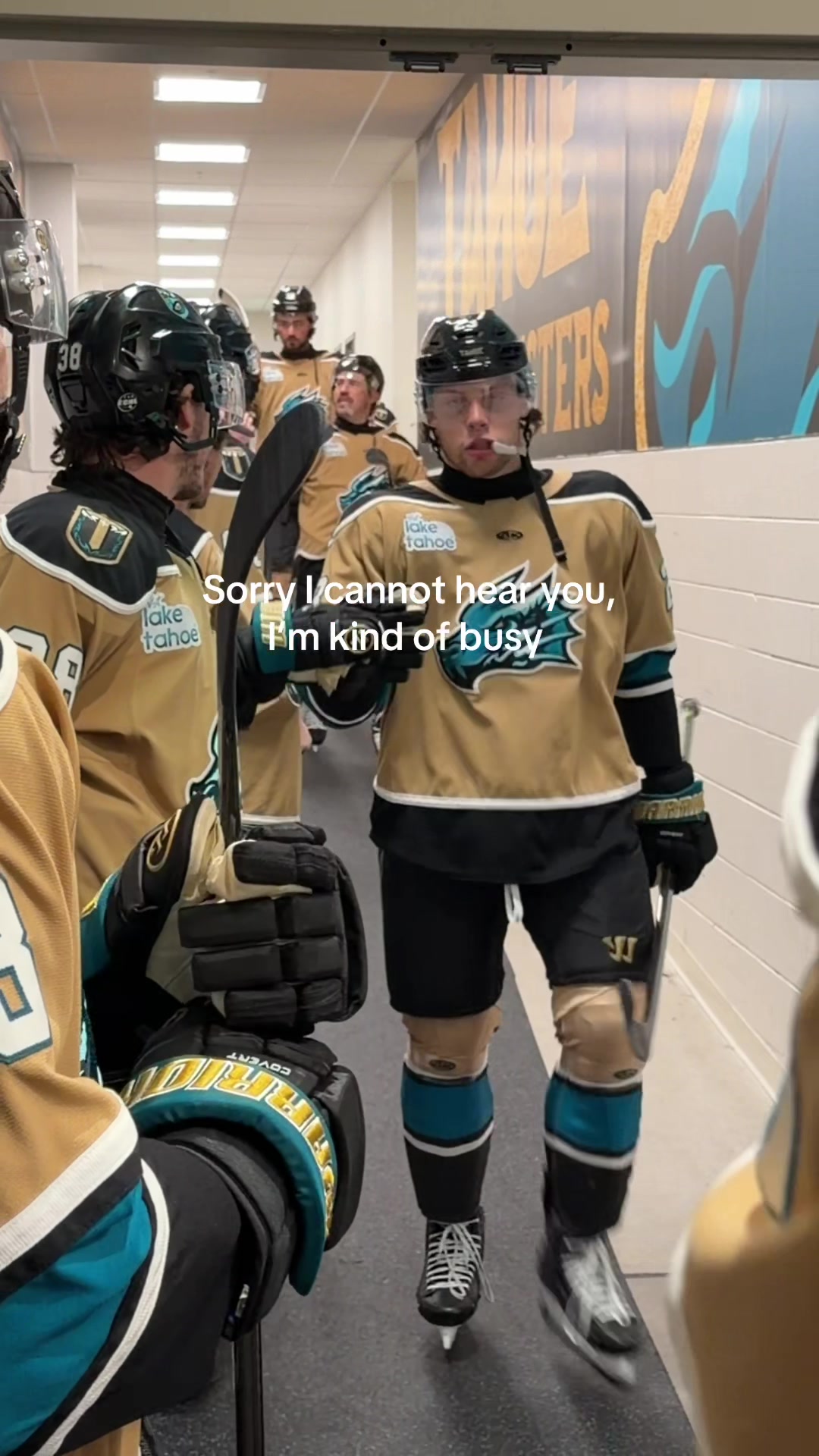 @knight_monsters