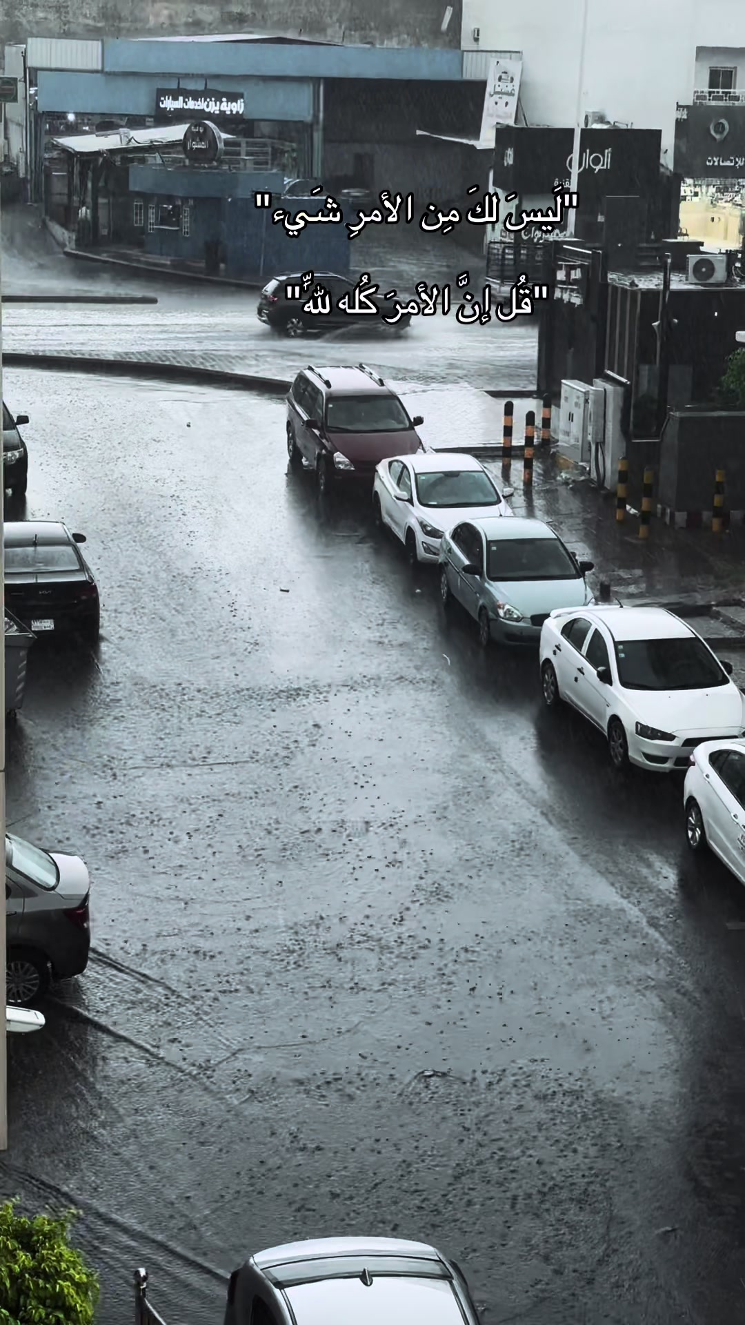 @🇸🇦&Ecirc;Mŷ🇪🇬