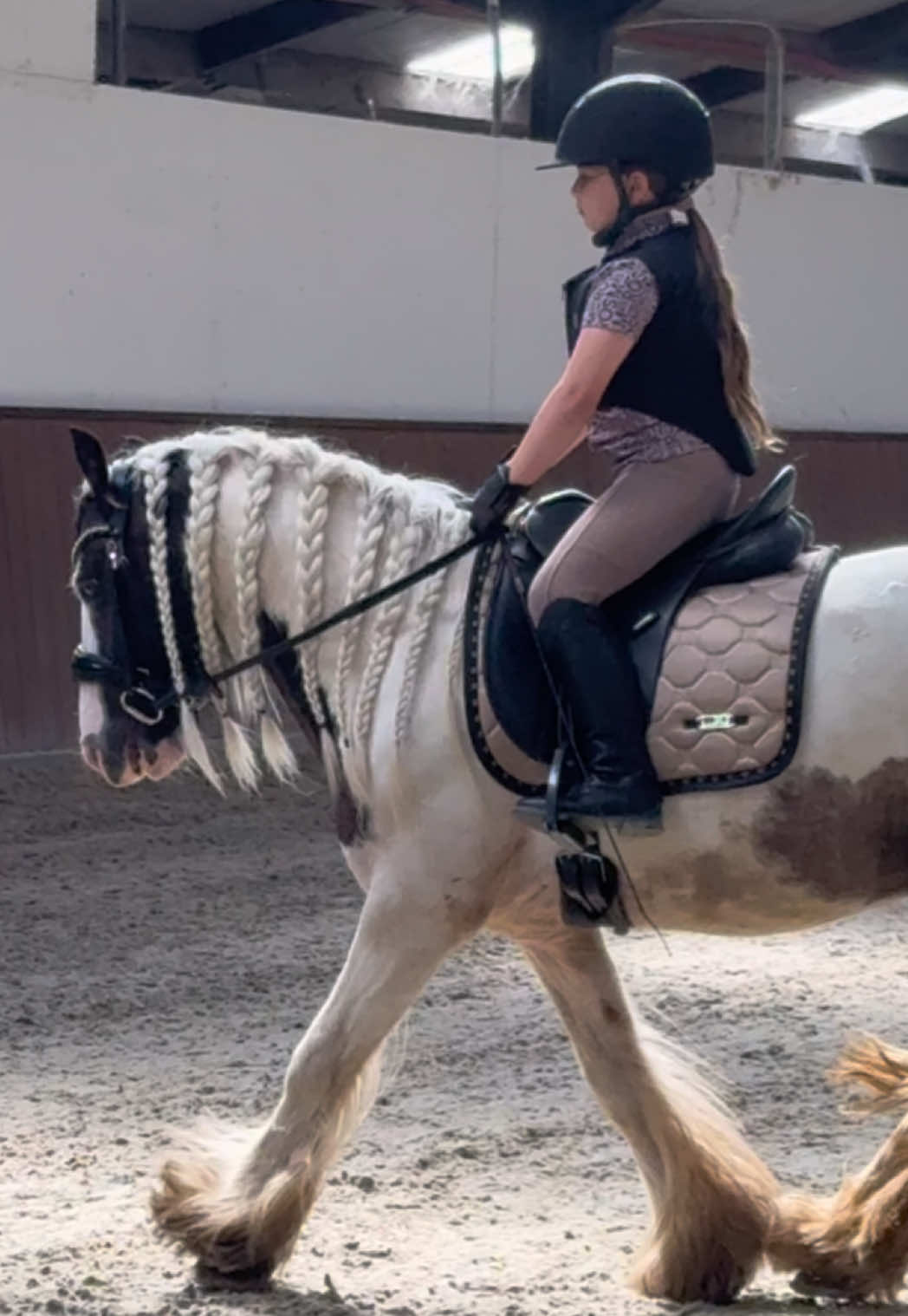@Young Rider Journey🐴