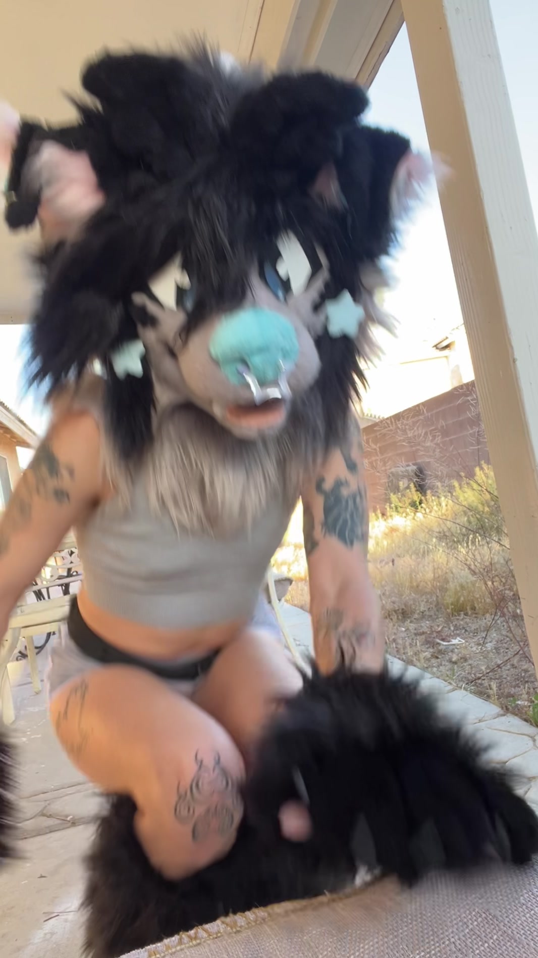 @a wolf named fox