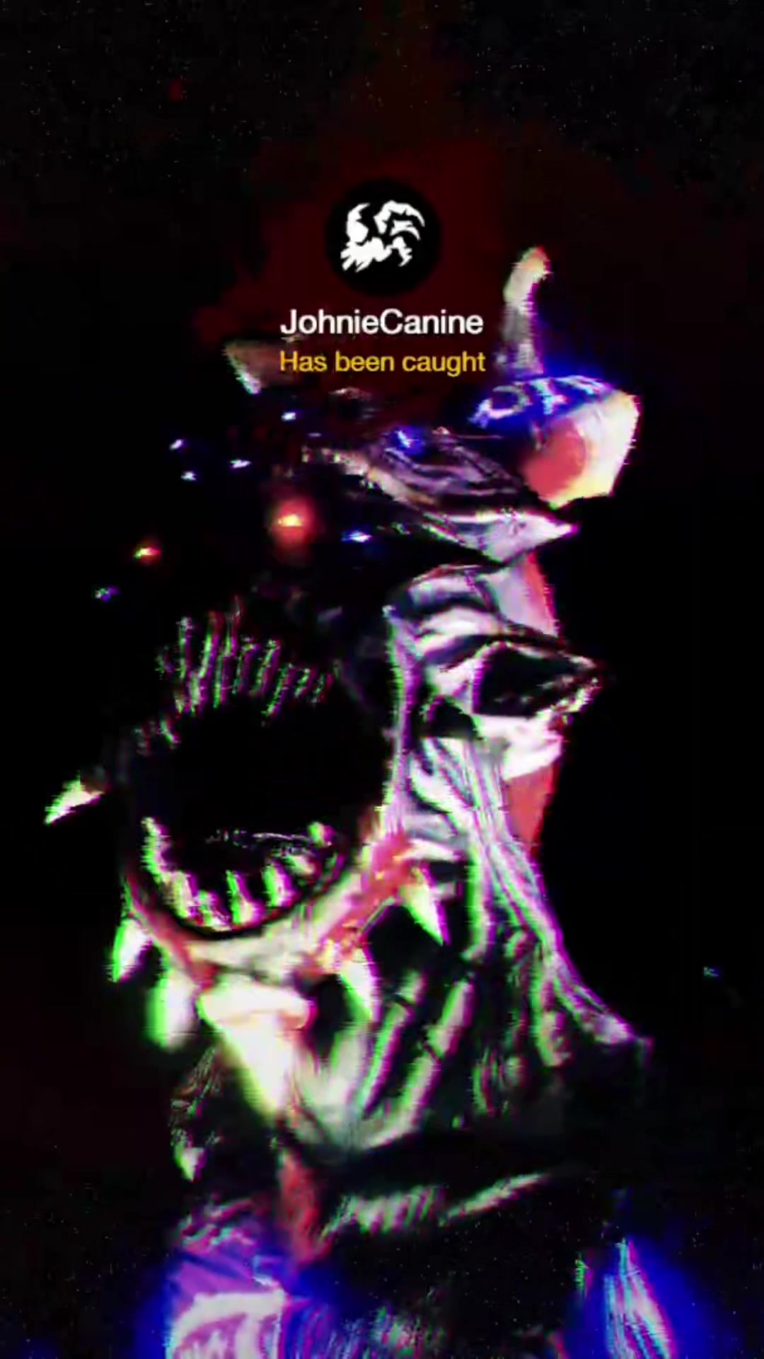 @JohnieCanine