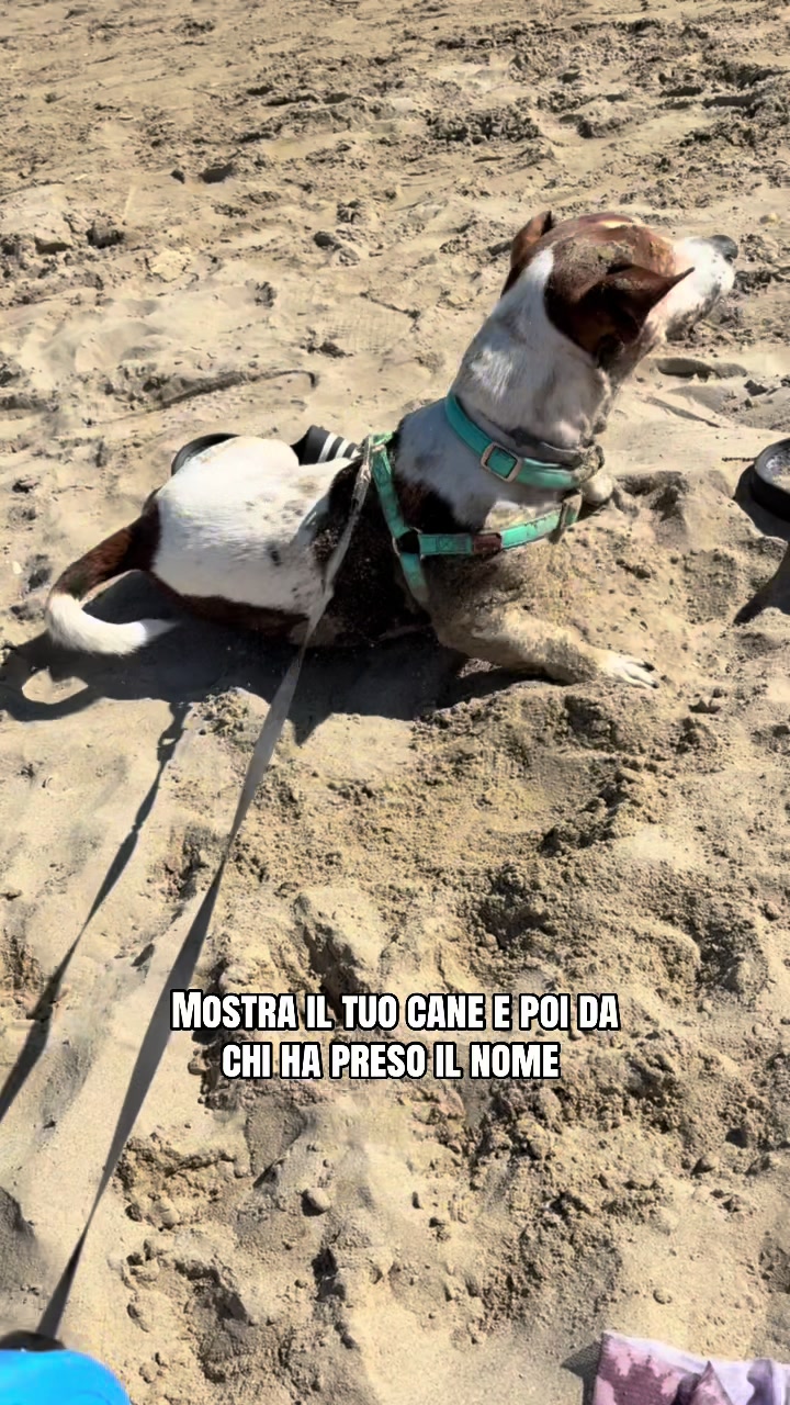 @MartinaRao