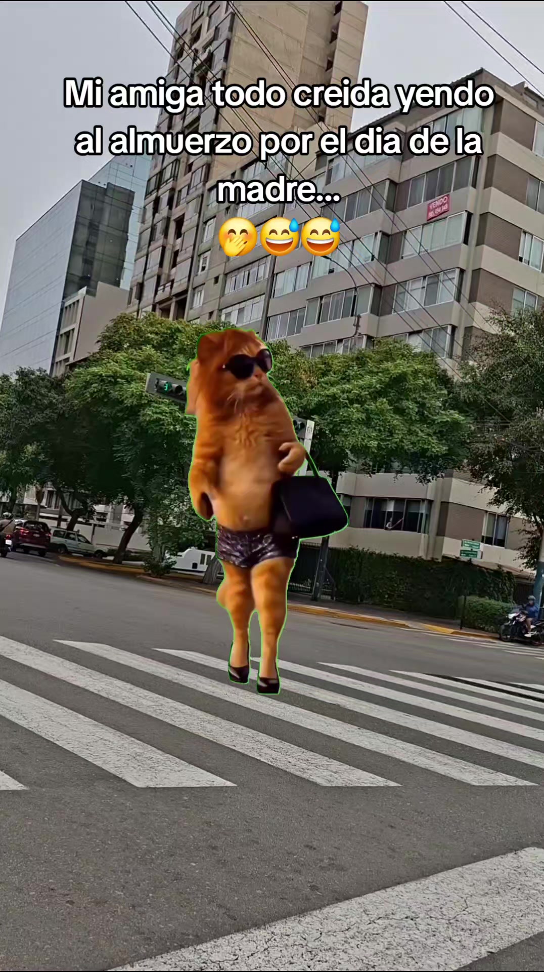 @Mari🧑&zwj;⚕️🩵🩺💉🩹