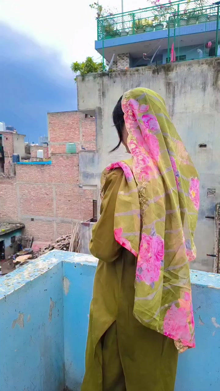@Zeenat Ansari زینت انصا ری