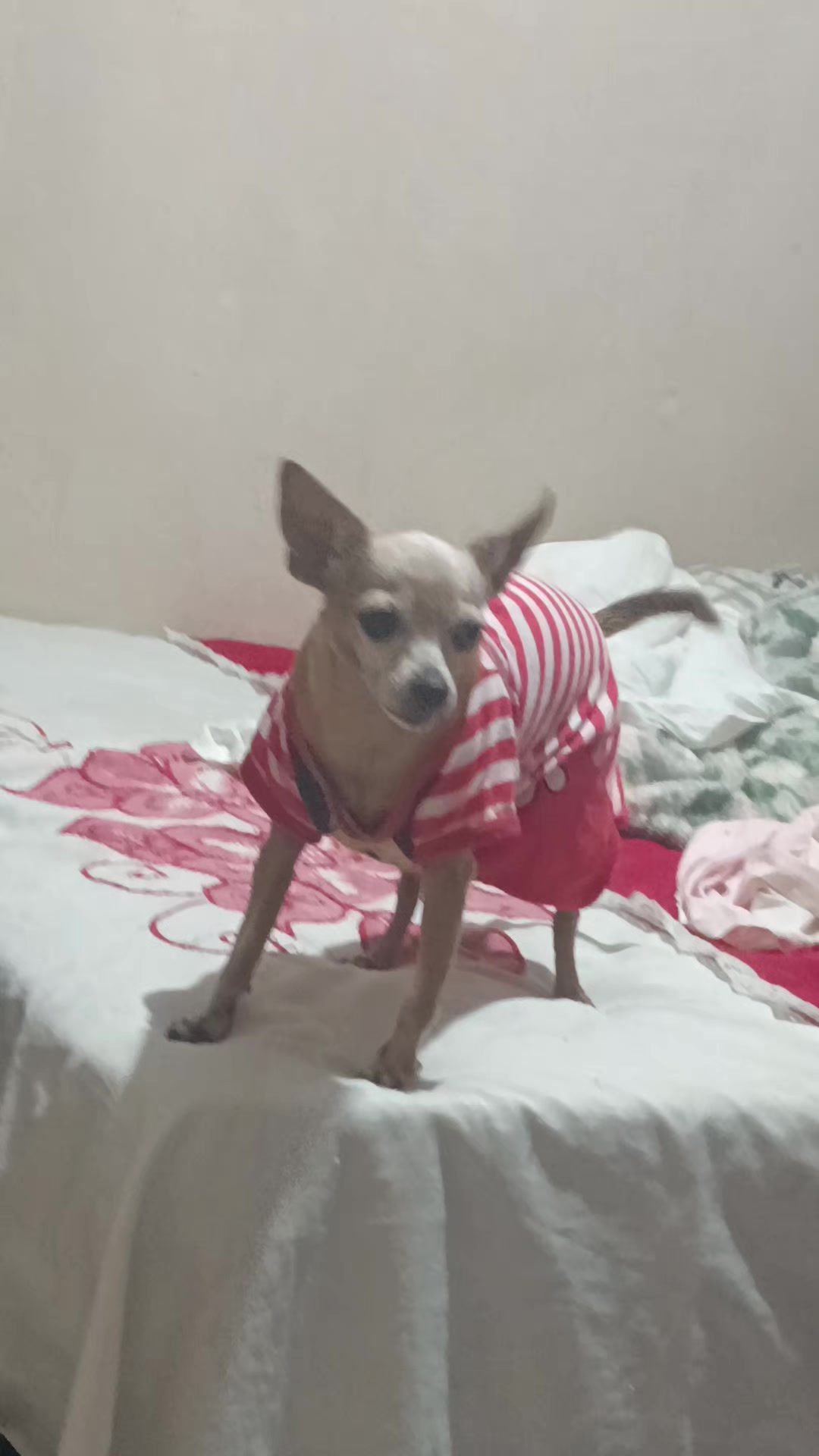 @princesa