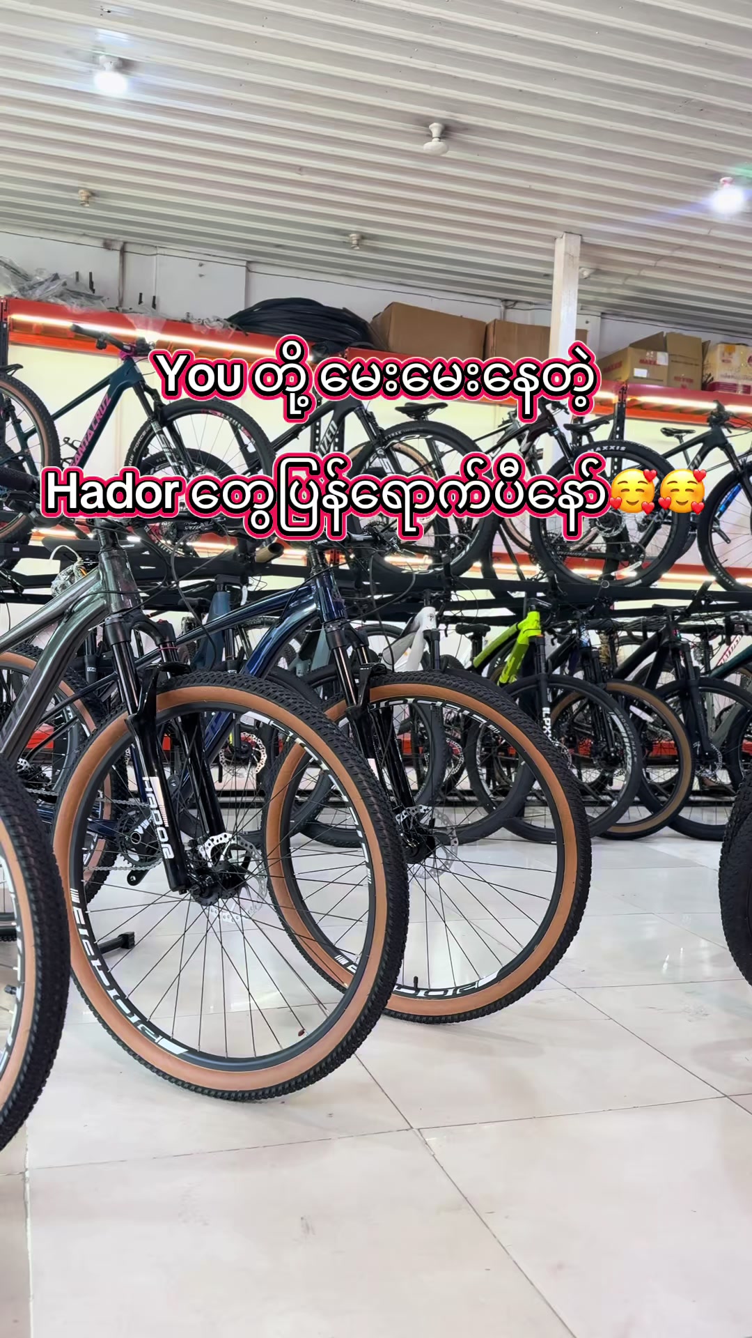 @SEIN&ensp;PAN&ensp;BIKE&ensp;SHOP
