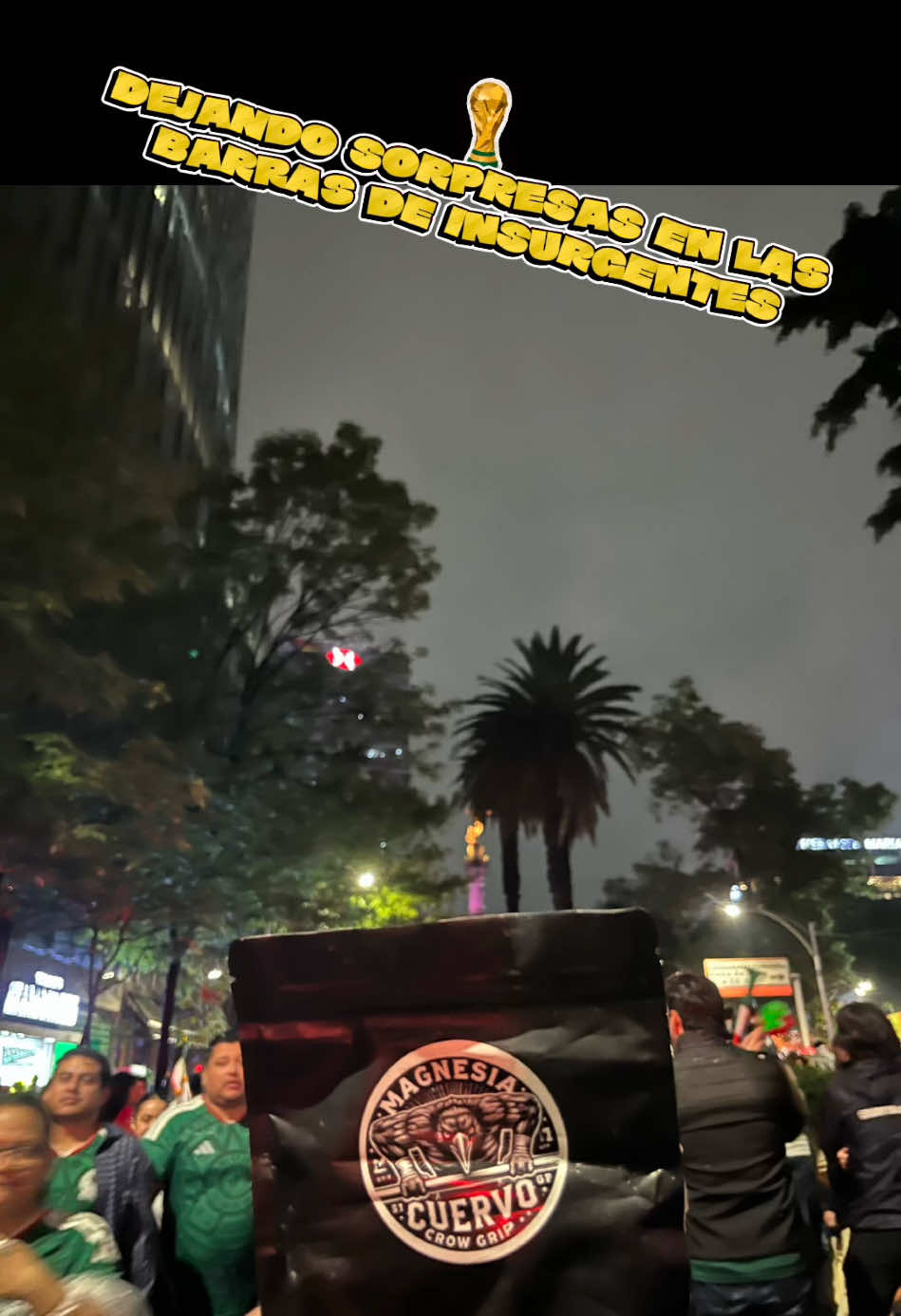 @Magnesiacuervo