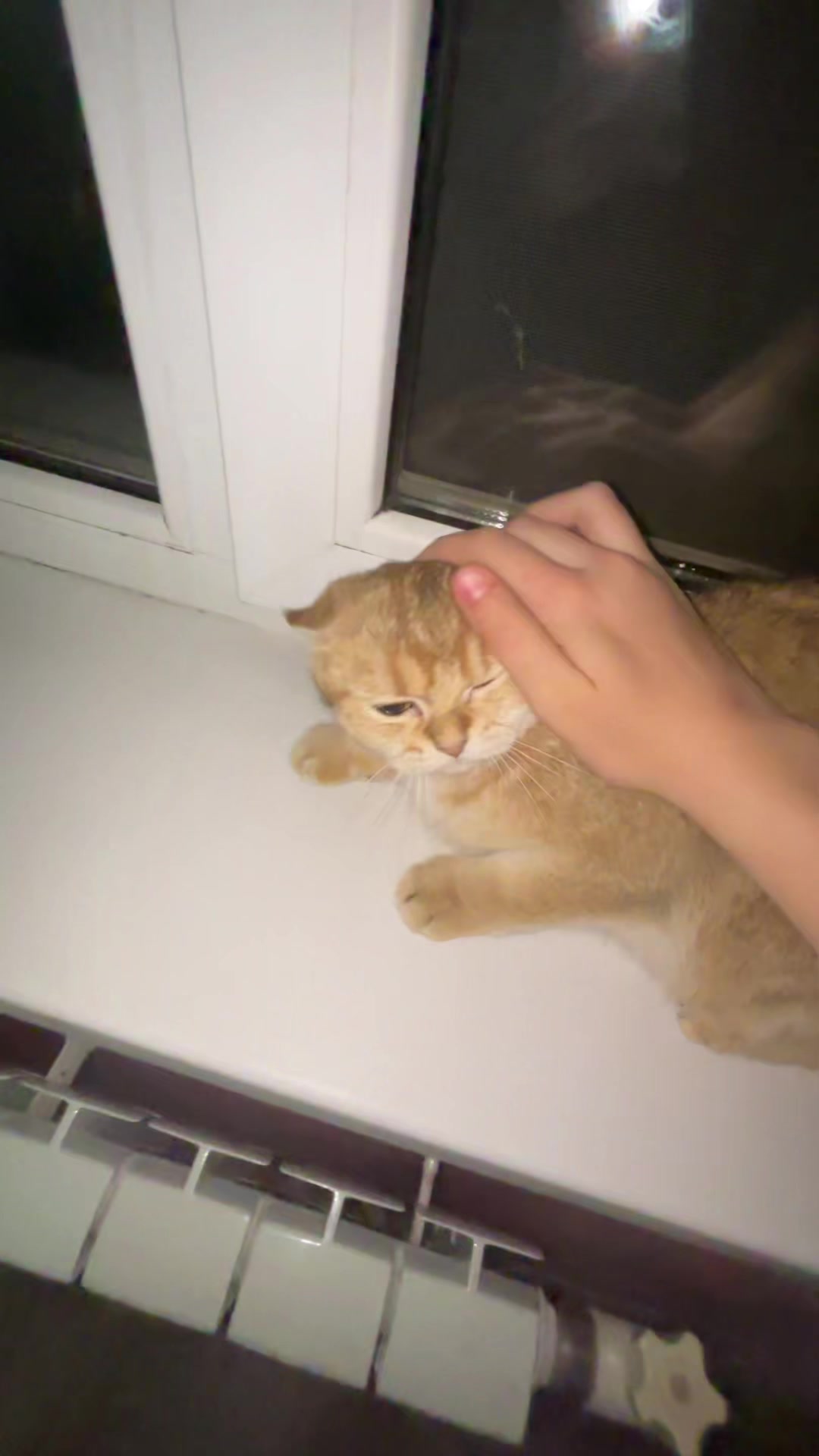 @Леонора😼😻