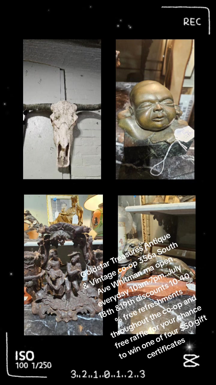 @Gold Star Treasures