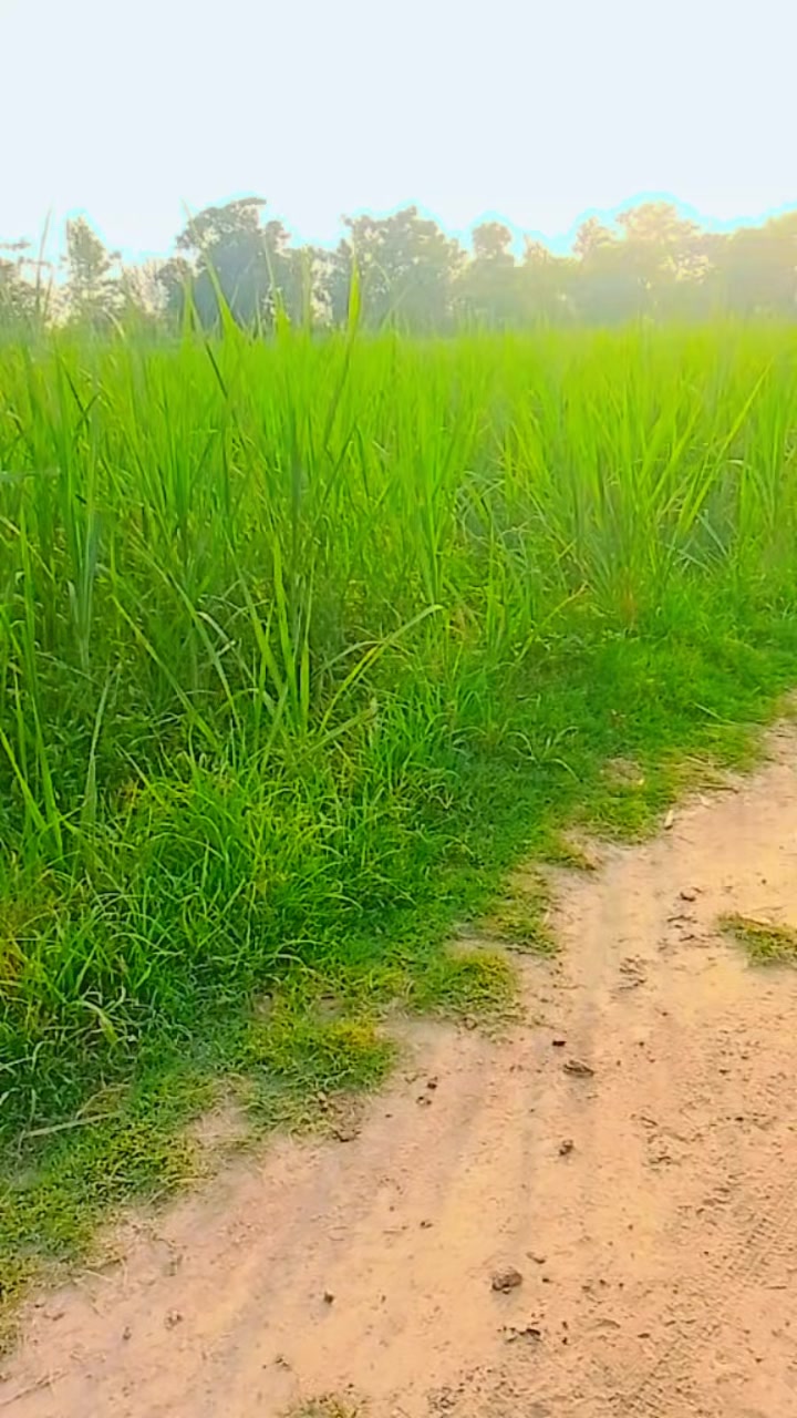 @asfhanbabuasfhanb