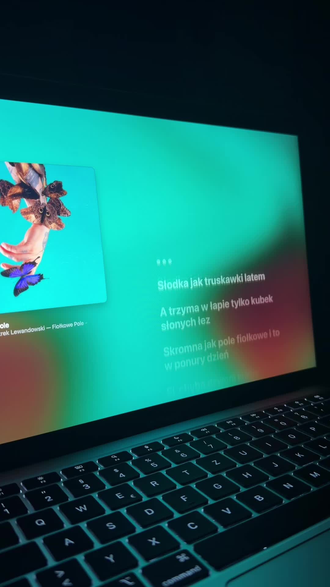 @polisch vibesongs