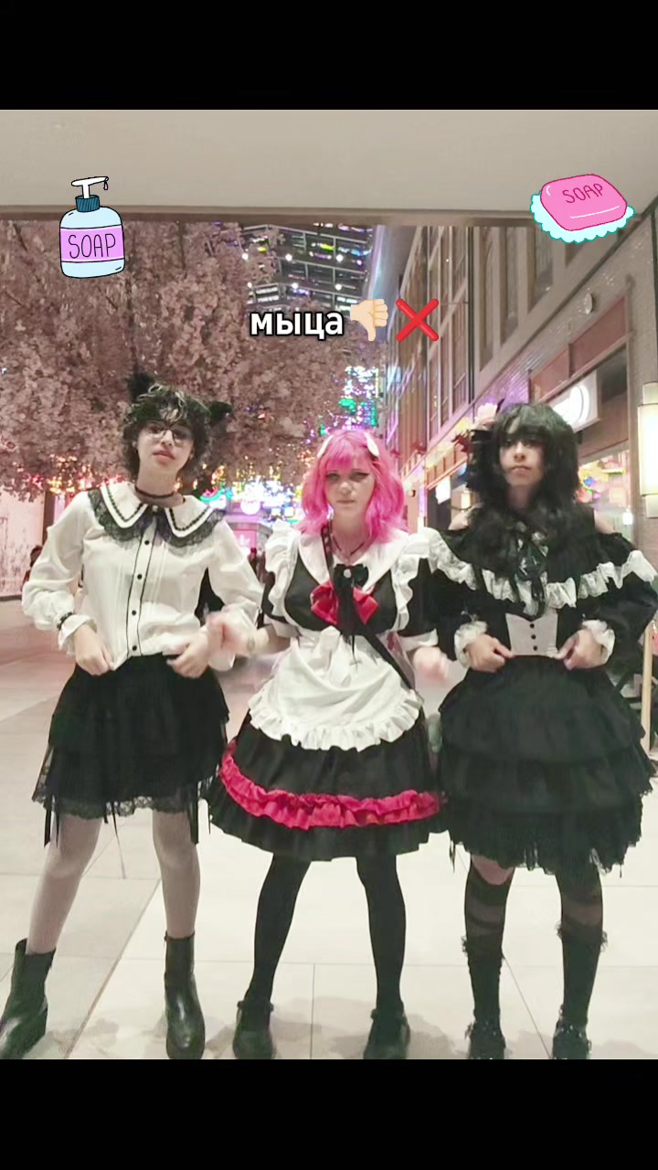 @seikou_nya