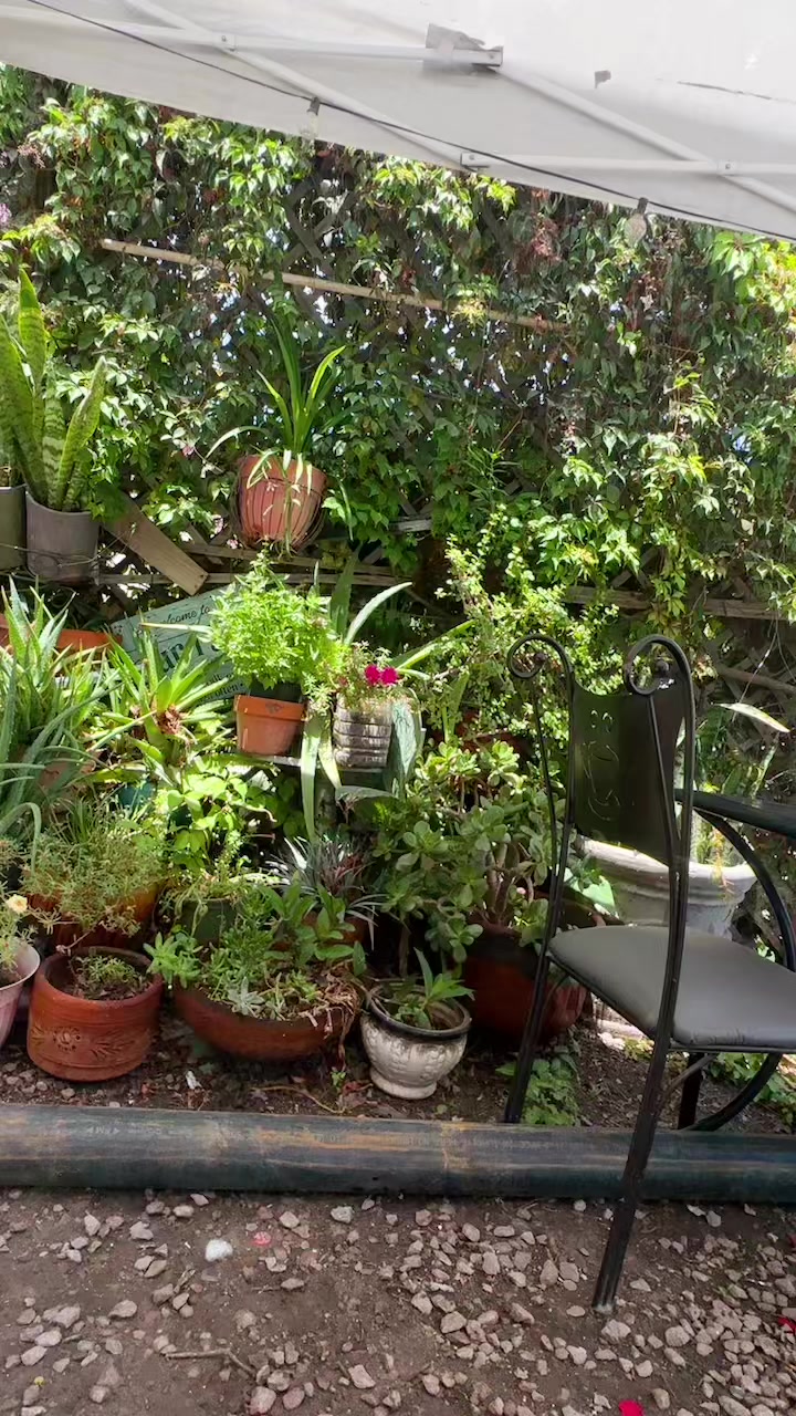 @Maria teresa Cruz sevilla