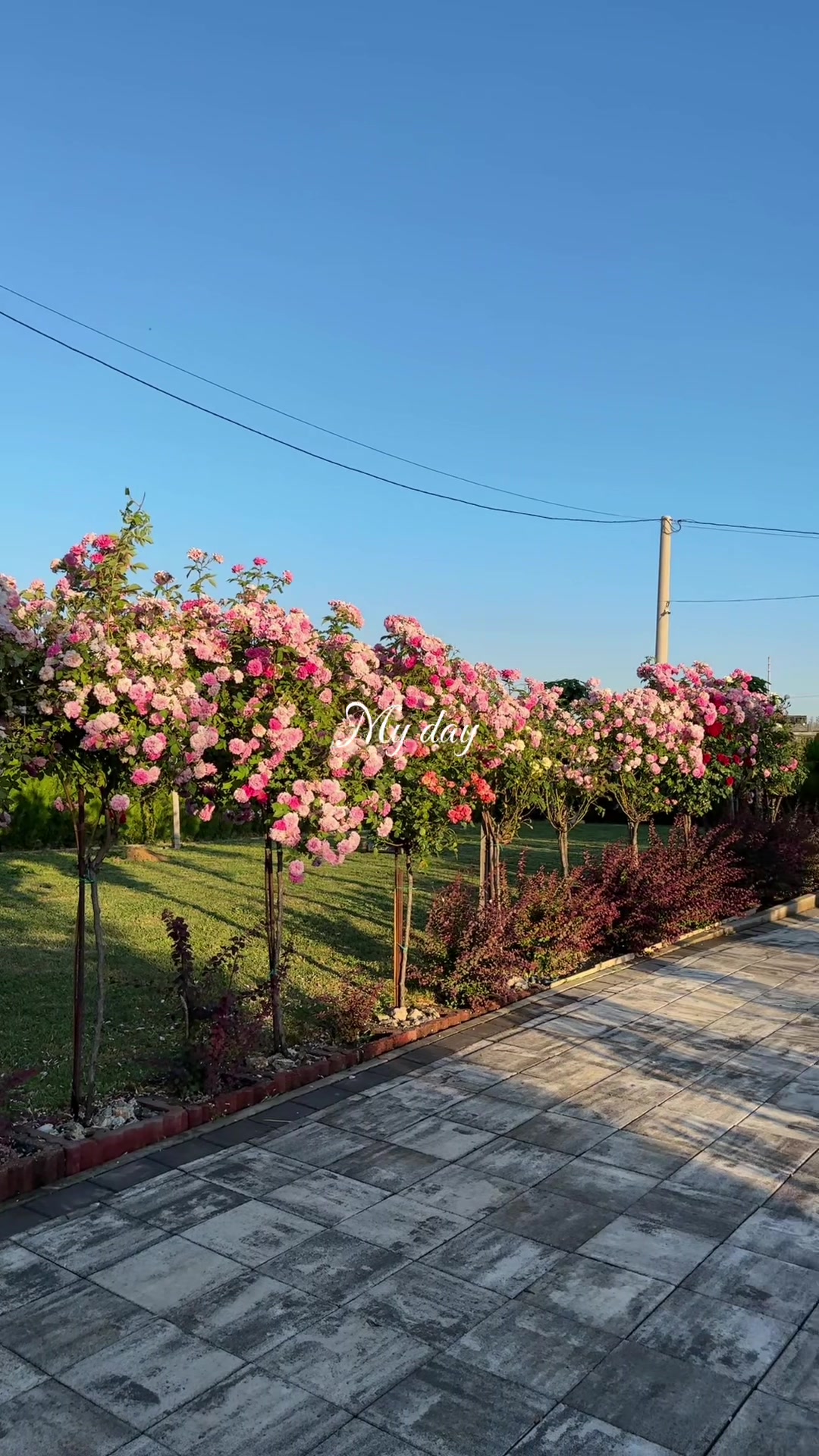 @Villa Familjare Sunset