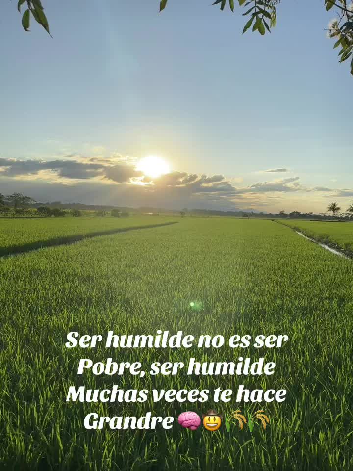 @Alejandro