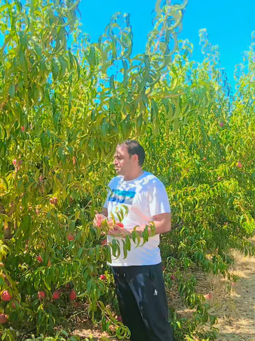 @عمران-گھمن--🇪🇸🇪🇺