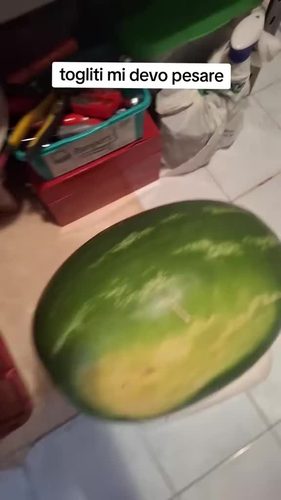 @carminecoppola3_