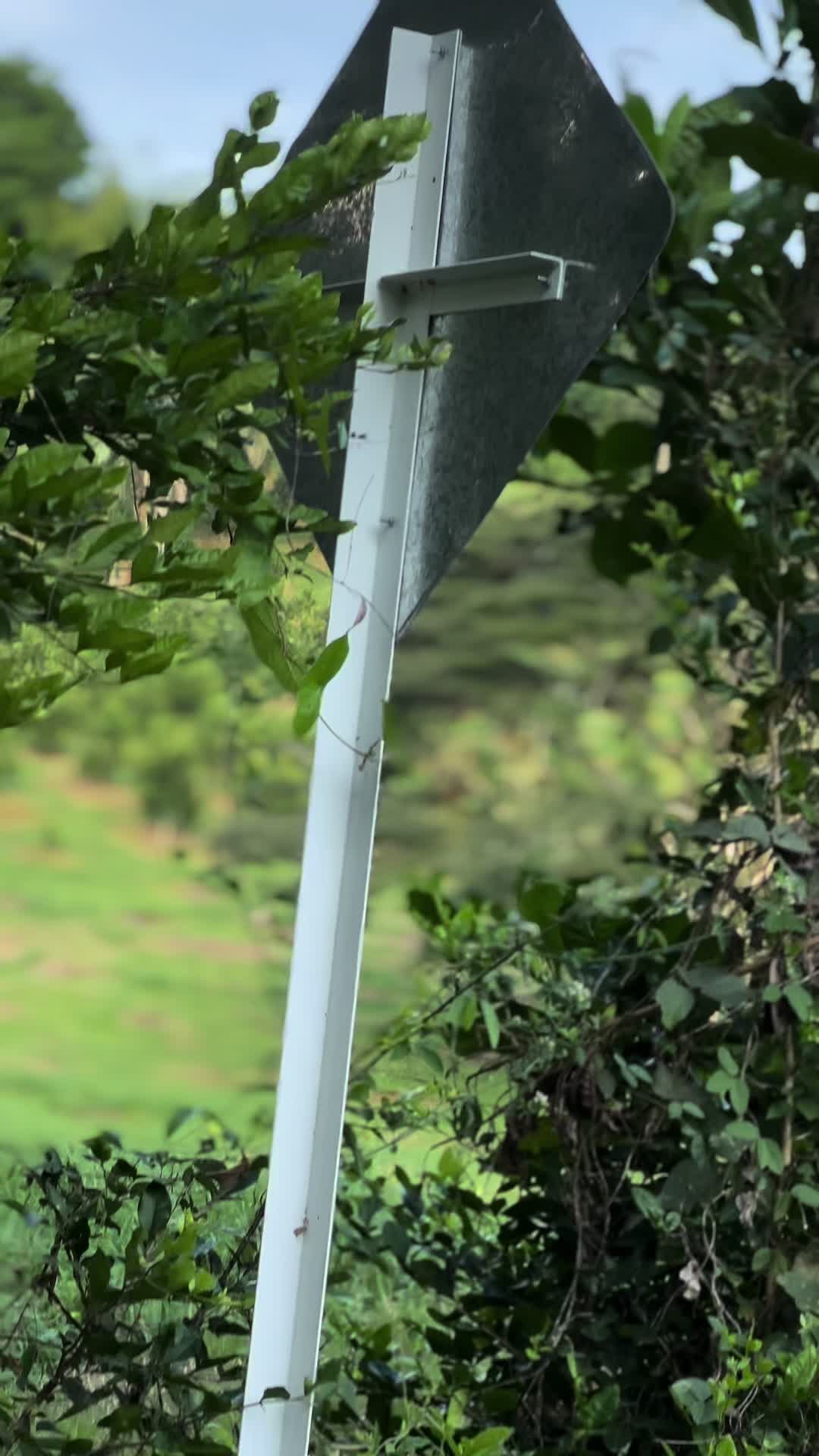 @️Estebanlopez_09