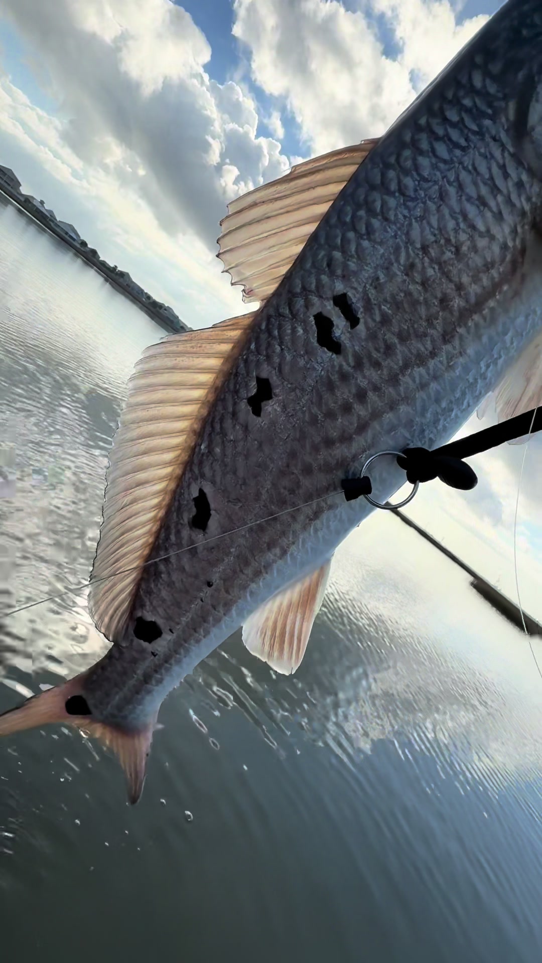 @hookedonthemarsh_tx