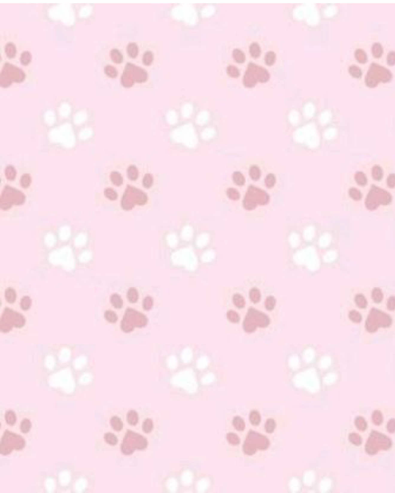 @૮₍ ´ ꒳ `₎ა