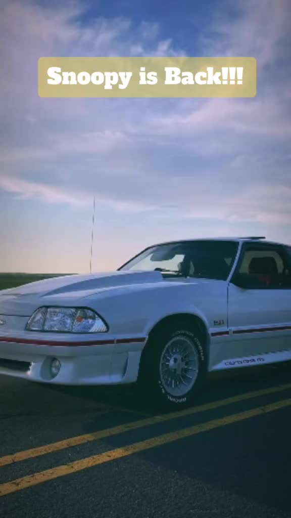 @🦊GTfoxbody5.0🍑🌛