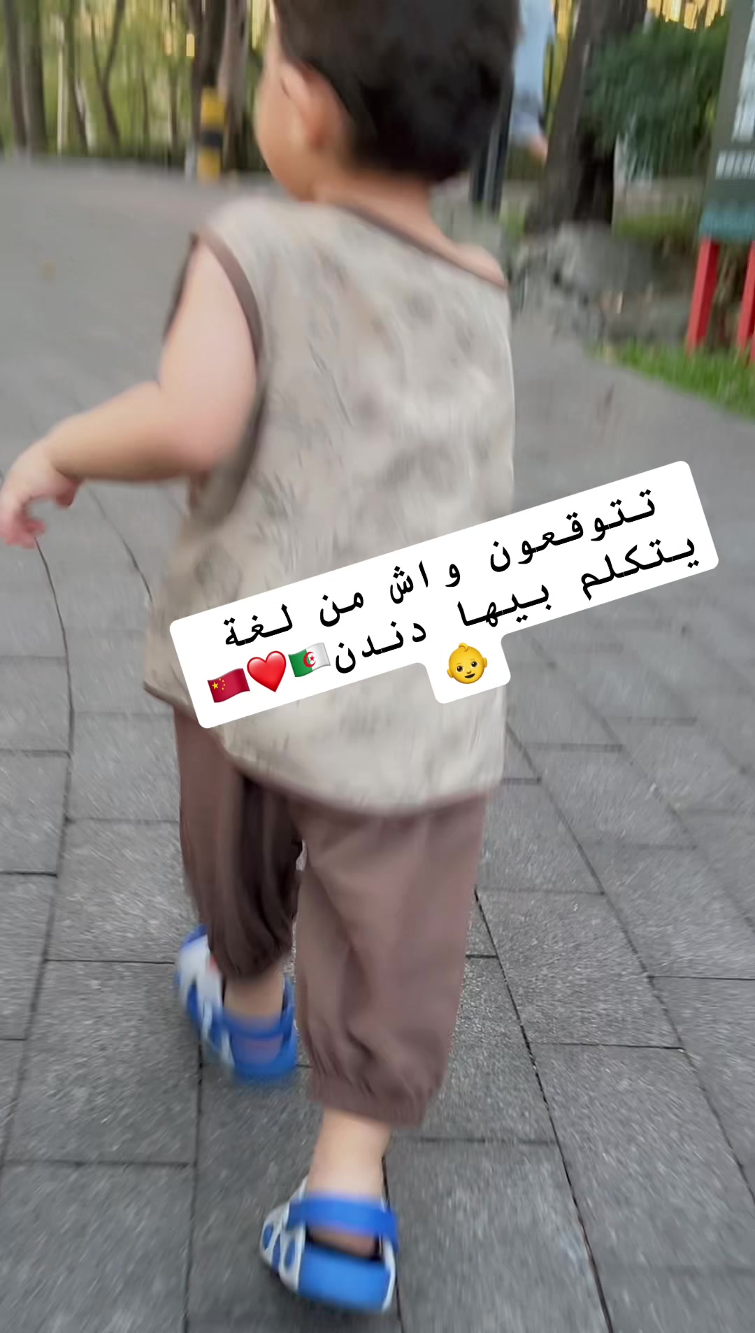 @madandan_chinadz