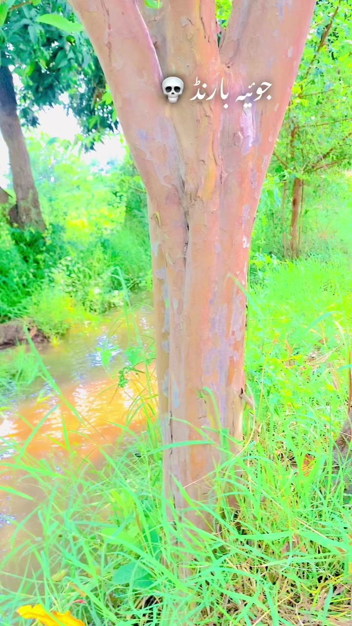 @nazam_joiya853