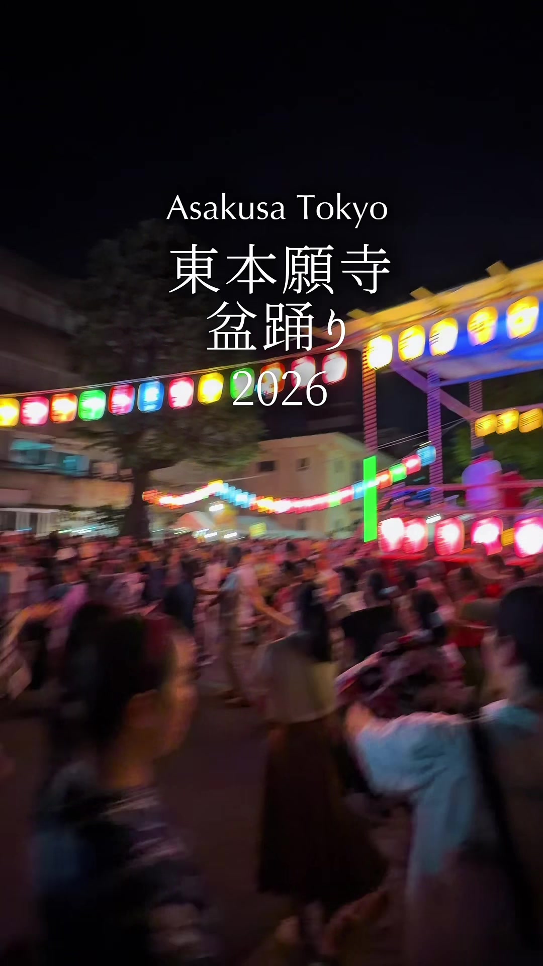 @のらよ🏮Norayo