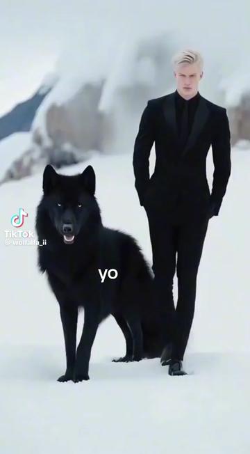@Daniel del Valle
