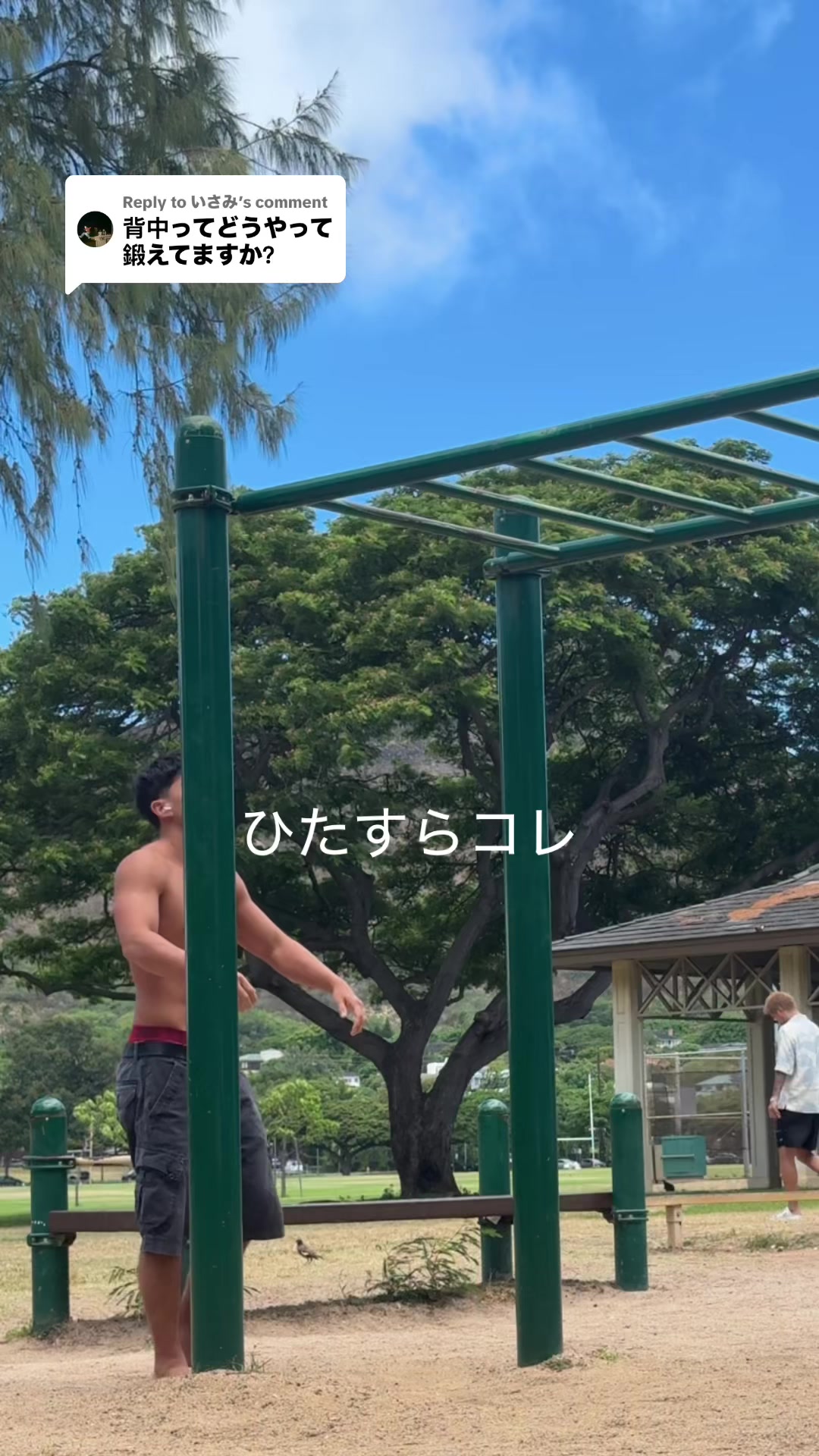 @Noa ノア 🇯🇵🇺🇸