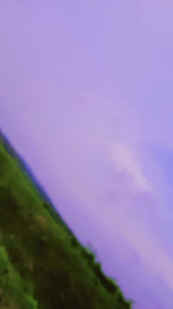 @🦋🌺প্রজাপতি🌺🦋