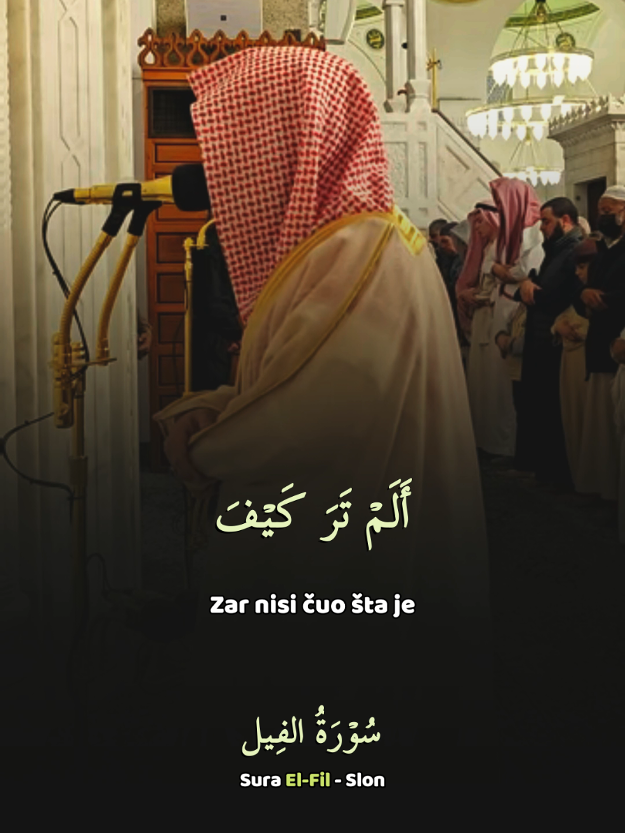 @Islamska Stranica 🇵🇸