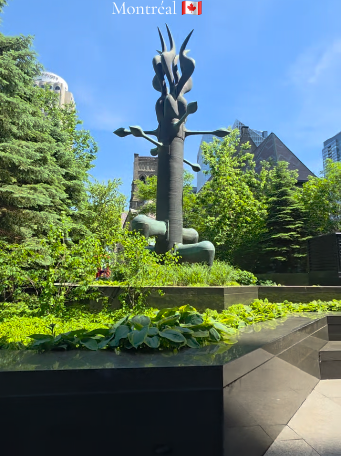 @travel/viaje/canada🌎mtl