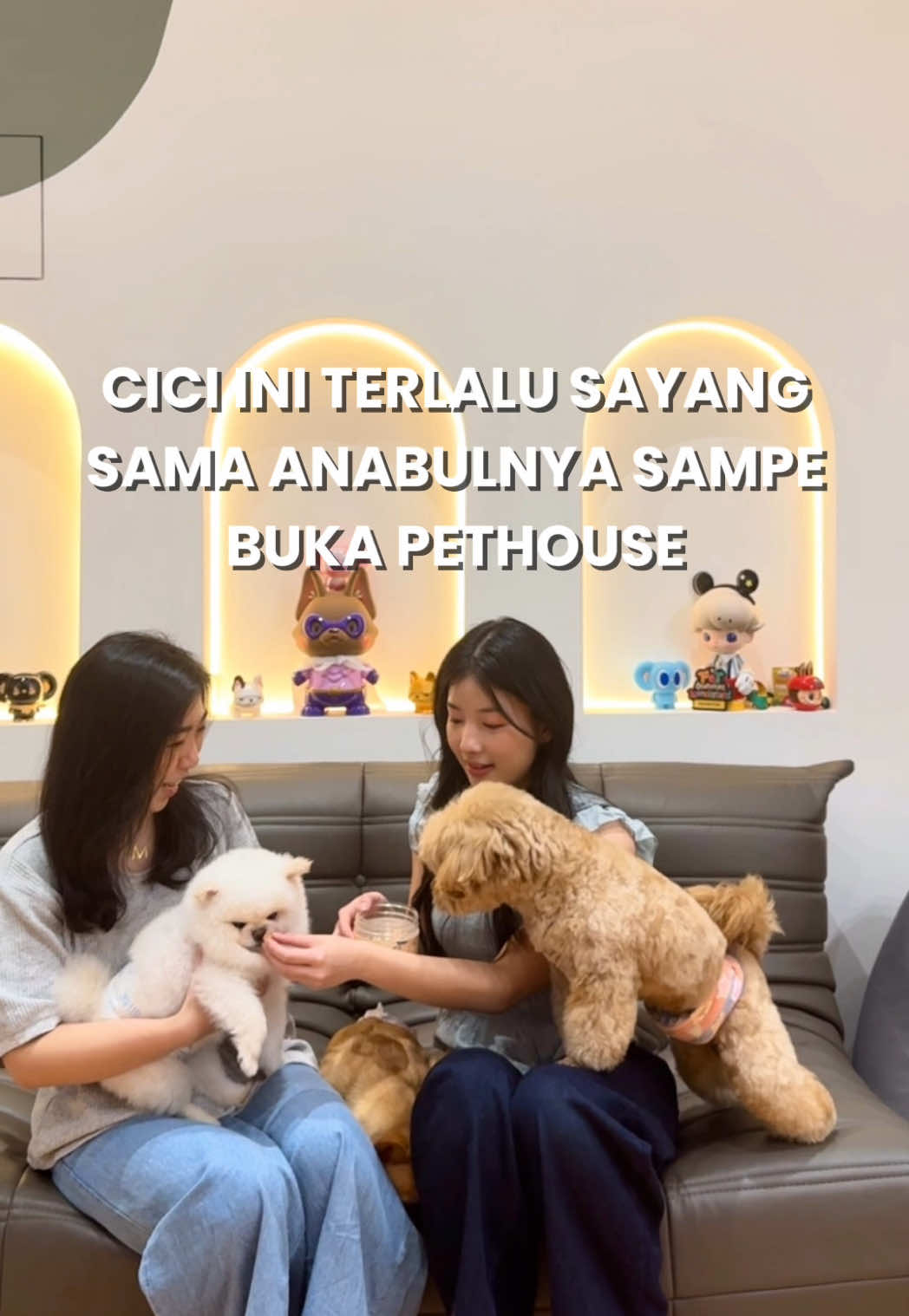 @krizy︱siapanih