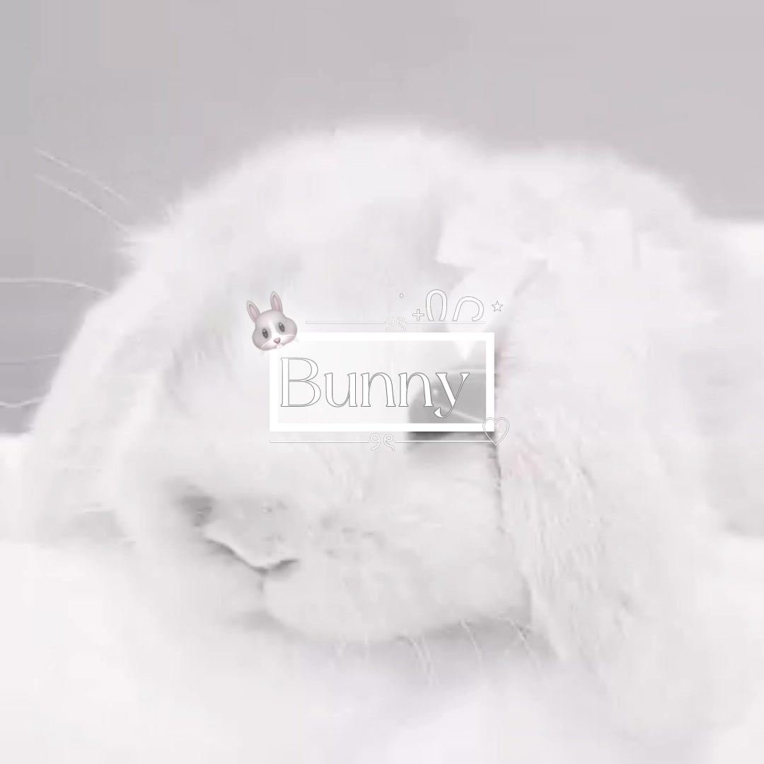 @â.ËðŠàŒâ ðððð ðð»ð¶â·