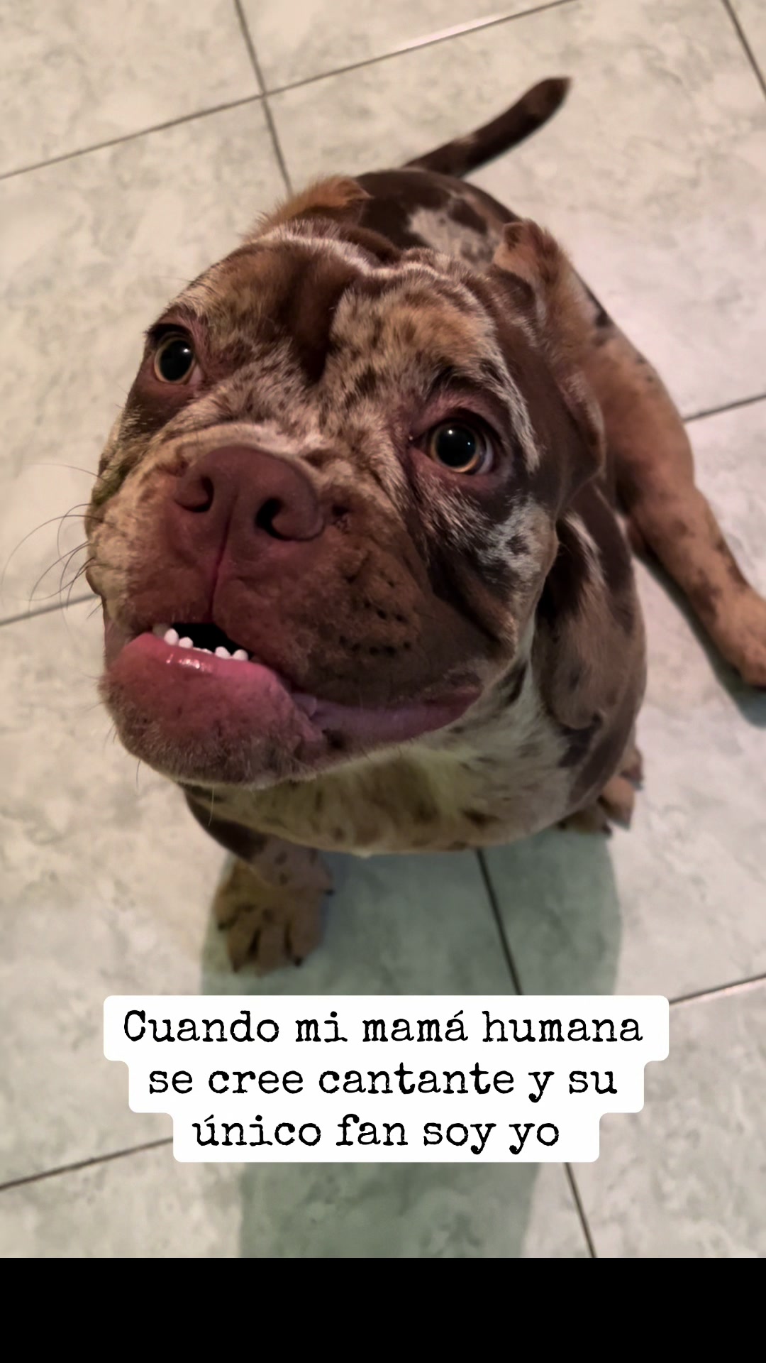 @Ares Santacruz