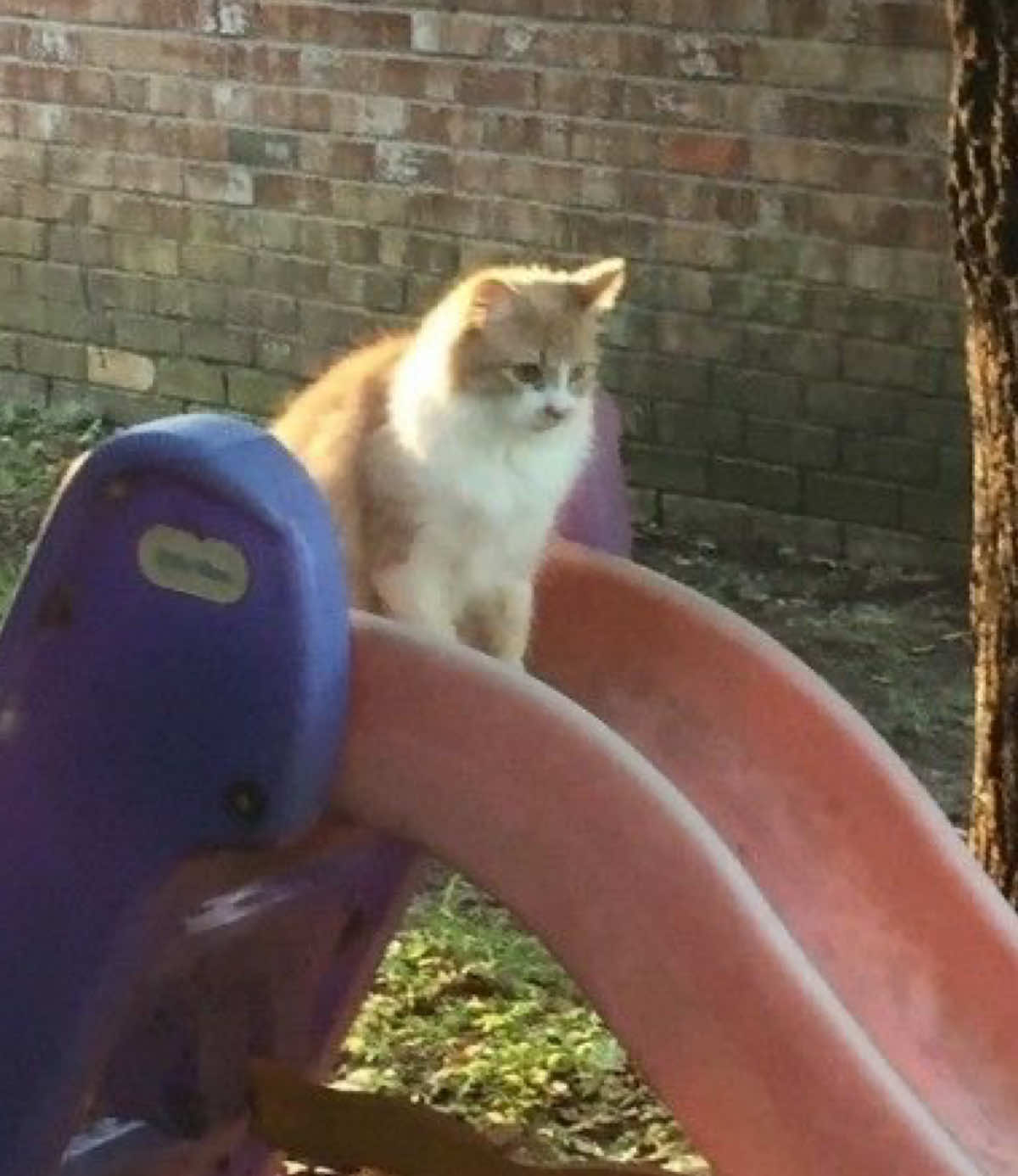 @𝐡𝐮𝐧𝐭𝐞𝐫 ˙𐃷˙