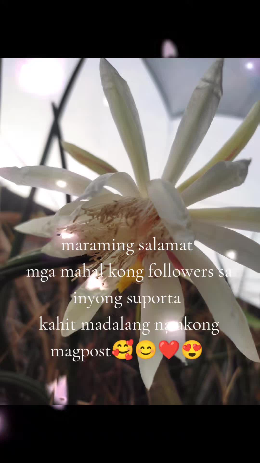 @em