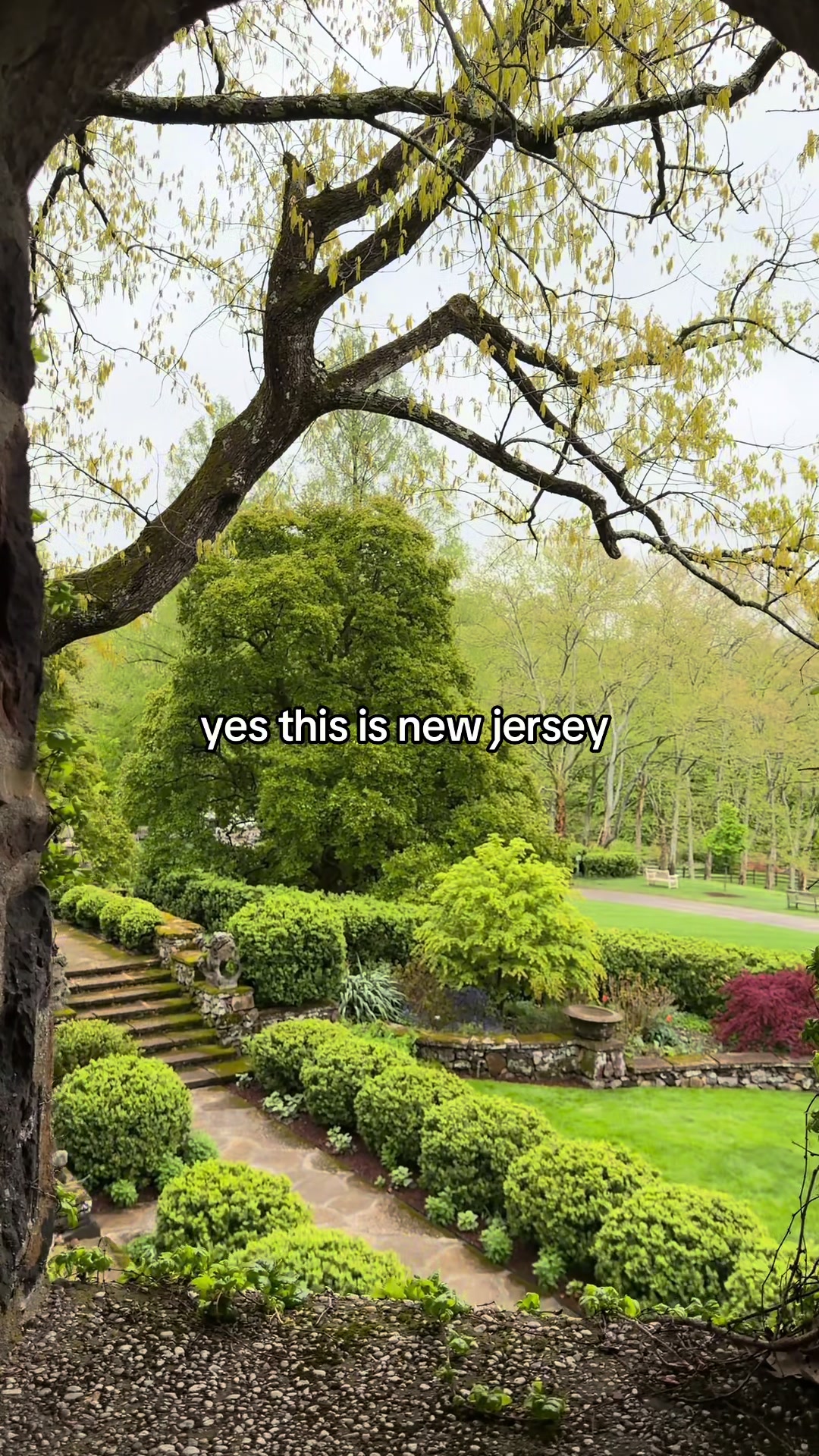 @your new jersey bestie