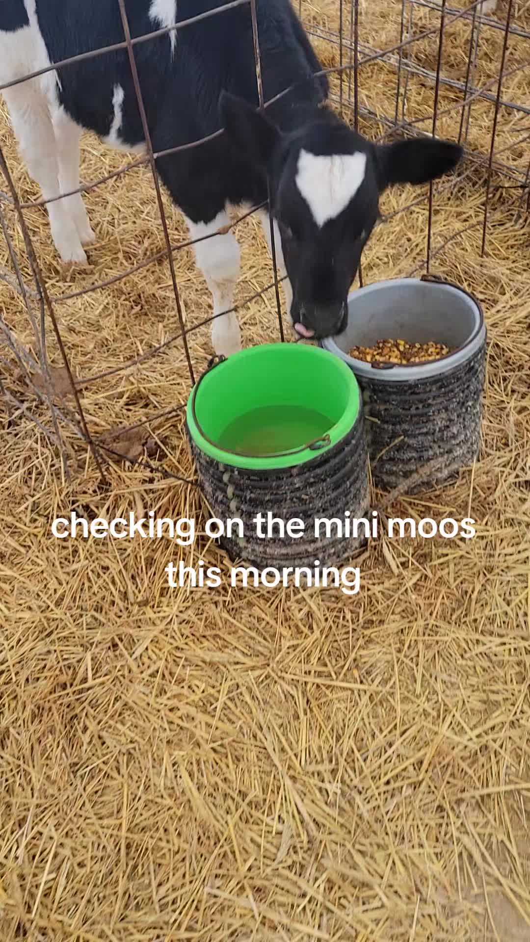 @Just Another FarmFluencer