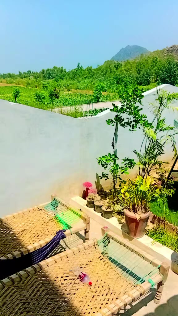 @it.X.Ali Khan